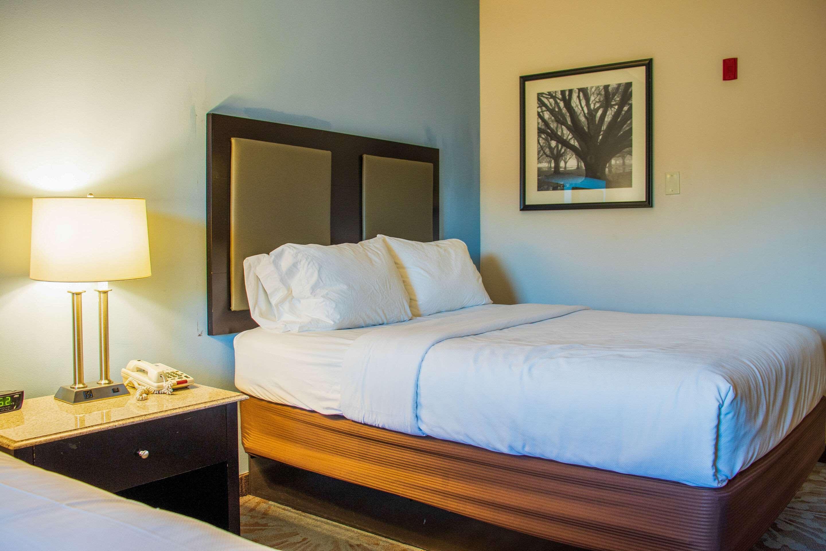 Comfort Inn & Suites Plainville-Foxboro Luaran gambar